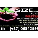 Namibia best Mutuba seed product the top Penis enlargement