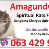 Spiritual rats or amagundwane powerful money spell caster uk