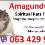 I have used money spell caster in Australia, spiritual rats